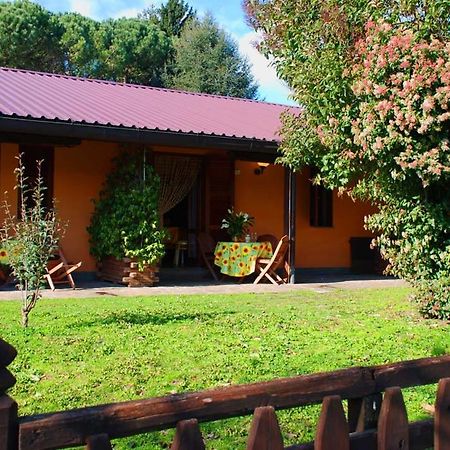 Azienda Agricola Armando Iacchelli Villa Velletri Esterno foto