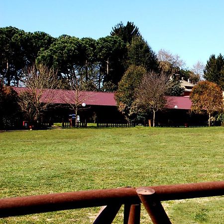 Azienda Agricola Armando Iacchelli Villa Velletri Esterno foto